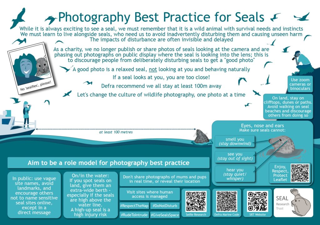Poster displaying best practice photography for seals.